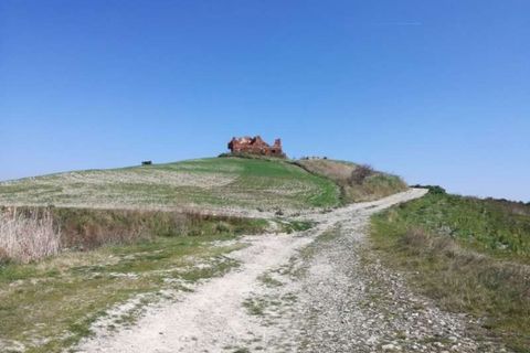 Farm hus i Peccioli, Pisa, Peccioli - € 495.000 | Ref: C-302-465189 - foto 3