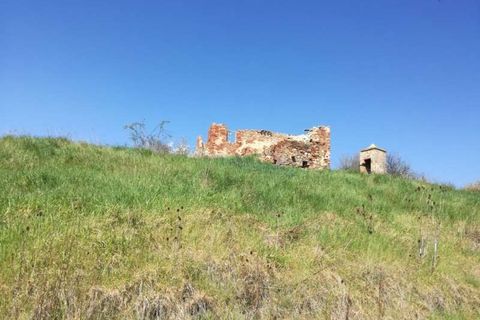 Farm hus i Peccioli, Pisa, Peccioli - € 495.000 | Ref: C-302-465189 - foto 4