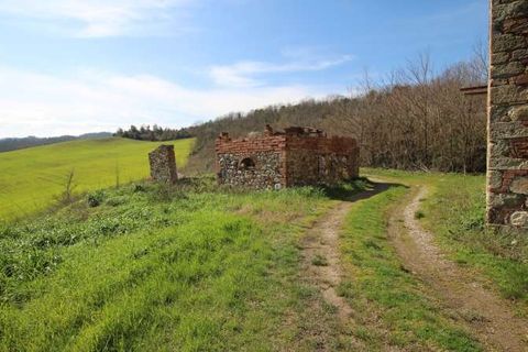 Farm hus i Lajatico, Pisa, Lajatico - € 850.000 | Ref: L 48-465283 - foto 2