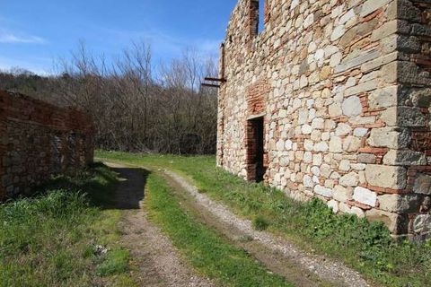 Farm hus i Lajatico, Pisa, Lajatico - € 850.000 | Ref: L 48-465283 - foto 4