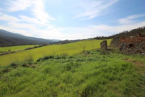 Farm hus i Lajatico, Pisa, Lajatico - € 850.000 | Ref: L 48-465283 - foto 6