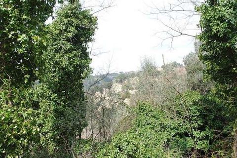 Farm hus i Palaia, Pisa, Palaia - € 180.000 | Ref: C-120-465353 - foto 5