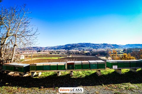 Villa a Bistagno, Alessandria, Bistagno - € 209.000 | Ref: 83815463 - foto 18