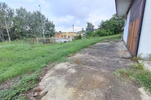 Villa a Monta, Cuneo, Monta - € 169.000 | Ref: 85242497 - foto 33