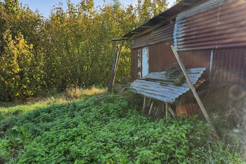 Landejendom i Tigliole, Asti, Tigliole - € 34.000 | Ref: 85413358 - foto 20