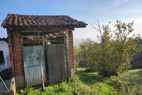 Landejendom i Tigliole, Asti, Tigliole - € 34.000 | Ref: 85413358 - foto 25
