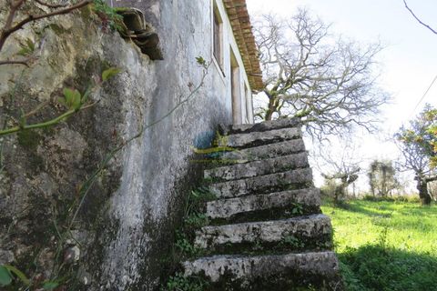 Byhus i Ansiao, Leiria, Ansiao - € 47.000 | Ref: ko2621 - foto 3