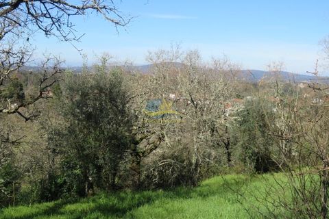 Byhus i Ansiao, Leiria, Ansiao - € 47.000 | Ref: ko2621 - foto 4