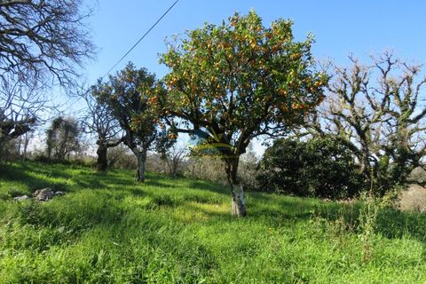 Byhus i Ansiao, Leiria, Ansiao - € 47.000 | Ref: ko2621 - foto 6