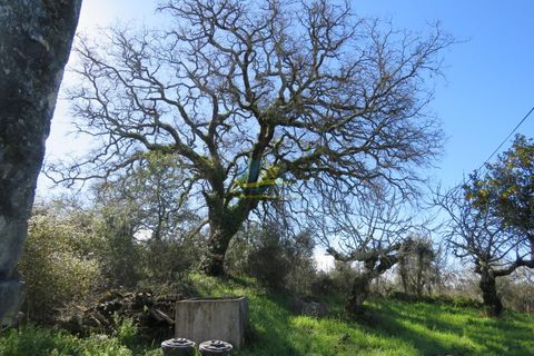 Byhus i Ansiao, Leiria, Ansiao - € 47.000 | Ref: ko2621 - foto 7