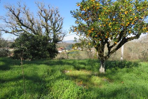 Byhus i Ansiao, Leiria, Ansiao - € 47.000 | Ref: ko2621 - foto 8