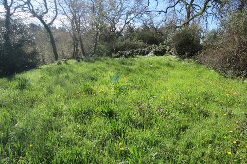 Byhus i Ansiao, Leiria, Ansiao - € 47.000 | Ref: ko2621 - foto 12