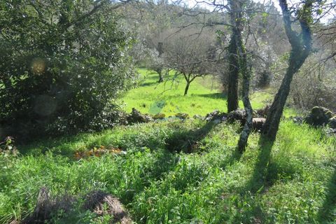 Byhus i Ansiao, Leiria, Ansiao - € 47.000 | Ref: ko2621 - foto 14