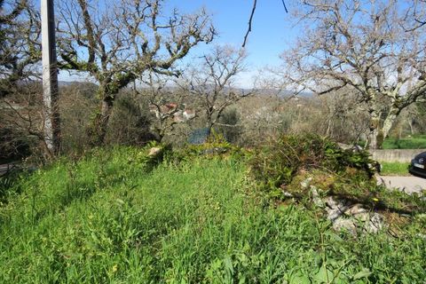 Byhus i Ansiao, Leiria, Ansiao - € 47.000 | Ref: ko2621 - foto 16