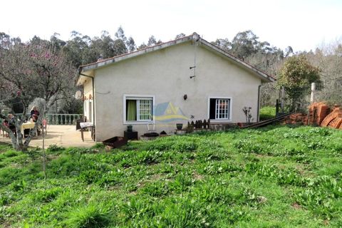 Byhus i Ansiao, Leiria, Ansiao - € 47.000 | Ref: ko2621 - foto 19