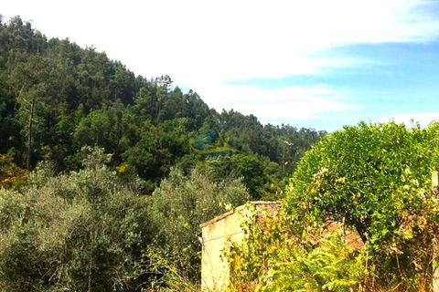 Villa i Miranda do Corvo, Coimbra, Miranda do Corvo - € 87.000 | Ref: ko2617 - foto 15