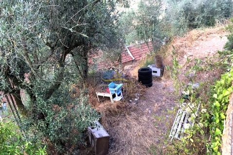 Villa i Miranda do Corvo, Coimbra, Miranda do Corvo - € 87.000 | Ref: ko2617 - foto 17