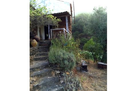 Villa i Miranda do Corvo, Coimbra, Miranda do Corvo - € 87.000 | Ref: ko2617 - foto 19