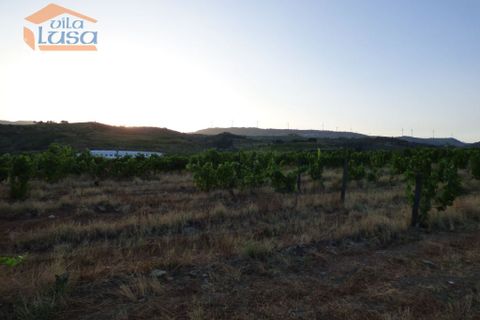 Landejendom i Tabuaco, Viseu, Tabuaco - € 2.500.000 | Ref: 803181005 - foto 12