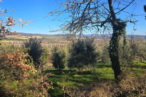 Villa a Castel Viscardo, Terni, Castel Viscardo - € 180.000 | Ref: ORVIETO04 - foto 20