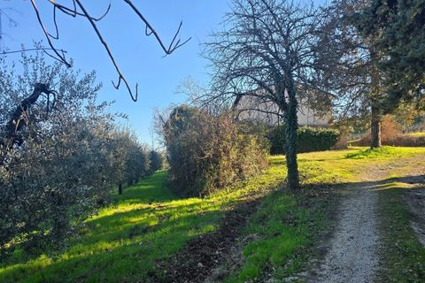 Villa a Castel Viscardo, Terni, Castel Viscardo - € 180.000 | Ref: ORVIETO04 - foto 27