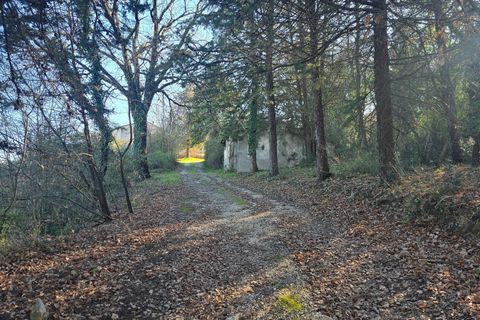 Villa a Castel Viscardo, Terni, Castel Viscardo - € 180.000 | Ref: ORVIETO04 - foto 28