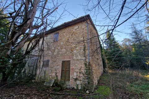 Villa a Amelia, Terni, Amelia - € 139.000 | Ref: Amelia0028 - foto 31
