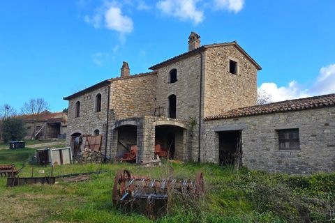 Erhvervsejendom i Baschi, Terni, Baschi - € 1.200.000 | Ref: AZIENDA02 - foto 5