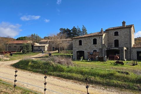 Erhvervsejendom i Baschi, Terni, Baschi - € 1.200.000 | Ref: AZIENDA02 - foto 8
