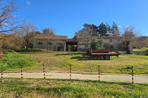 Erhvervsejendom i Baschi, Terni, Baschi - € 1.200.000 | Ref: AZIENDA02 - foto 11