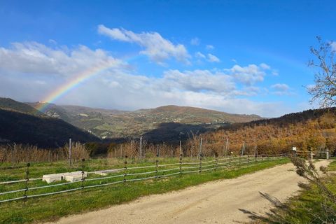 Erhvervsejendom i Baschi, Terni, Baschi - € 1.200.000 | Ref: AZIENDA02 - foto 12