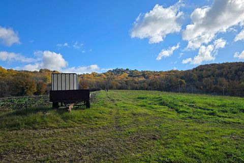 Erhvervsejendom i Baschi, Terni, Baschi - € 1.200.000 | Ref: AZIENDA02 - foto 18