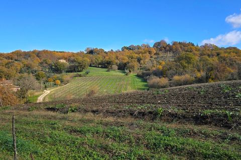 Erhvervsejendom i Baschi, Terni, Baschi - € 1.200.000 | Ref: AZIENDA02 - foto 19