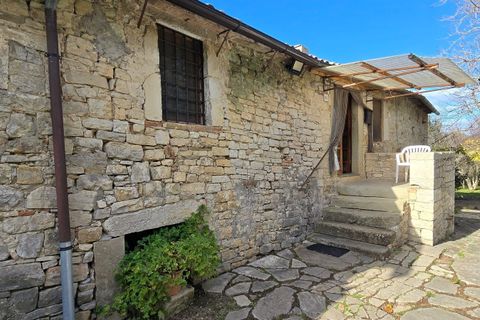 Erhvervsejendom i Baschi, Terni, Baschi - € 1.200.000 | Ref: AZIENDA02 - foto 23