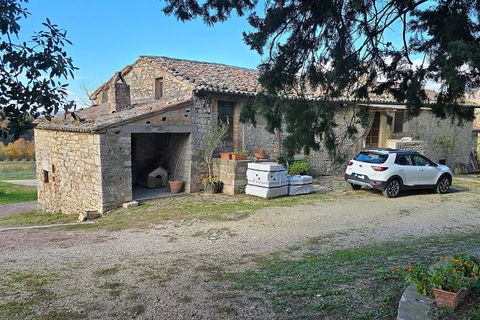 Erhvervsejendom i Baschi, Terni, Baschi - € 1.200.000 | Ref: AZIENDA02 - foto 25