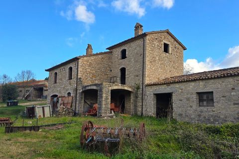 Erhvervsejendom i Baschi, Terni, Baschi - € 1.200.000 | Ref: AZIENDA02 - foto 35