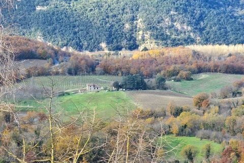 Erhvervsejendom i Baschi, Terni, Baschi - € 1.200.000 | Ref: AZIENDA02 - foto 42