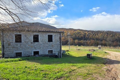 Erhvervsejendom i Baschi, Terni, Baschi - € 1.200.000 | Ref: AZIENDA02 - foto 44