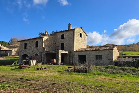Erhvervsejendom i Baschi, Terni, Baschi - € 1.200.000 | Ref: AZIENDA02 - foto 45