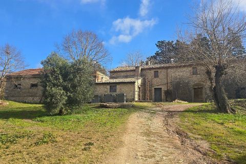 Erhvervsejendom i Baschi, Terni, Baschi - € 1.200.000 | Ref: AZIENDA02 - foto 47