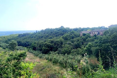 Villa a Orvieto, Terni, Orvieto - € 359.000 | Ref: PRODO04 - foto 3
