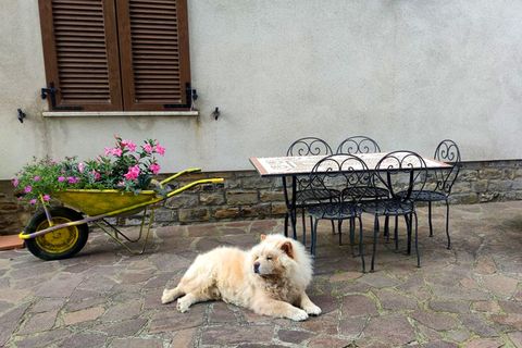Villa a Orvieto, Terni, Orvieto - € 359.000 | Ref: PRODO04 - foto 35