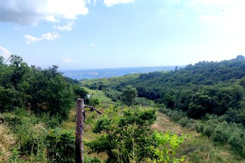 Villa a Orvieto, Terni, Orvieto - € 359.000 | Ref: PRODO04 - foto 39