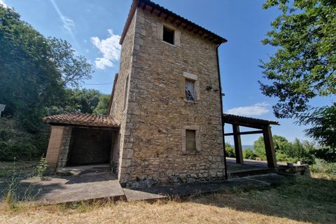 Villa i Baschi, Terni, Baschi - € 250.000 | Ref: BASCHI20 - foto 12