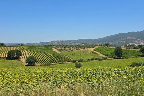 Villa a Baschi, Terni, Baschi - € 630.000 | Ref: BASCHI08 - foto 8