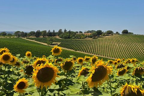 Villa a Baschi, Terni, Baschi - € 630.000 | Ref: BASCHI08 - foto 17
