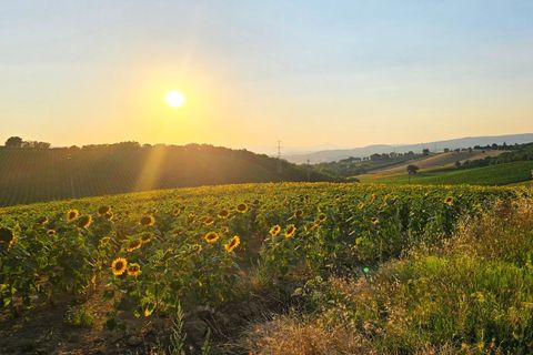 Villa a Baschi, Terni, Baschi - € 630.000 | Ref: BASCHI08 - foto 18