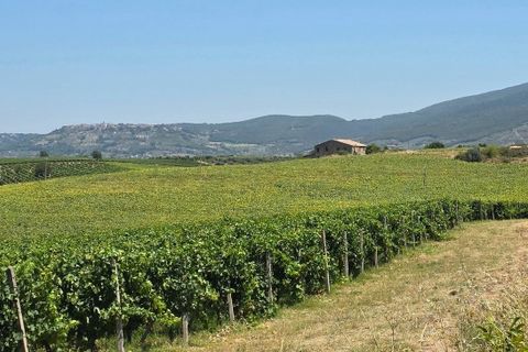 Villa a Baschi, Terni, Baschi - € 630.000 | Ref: BASCHI08 - foto 19