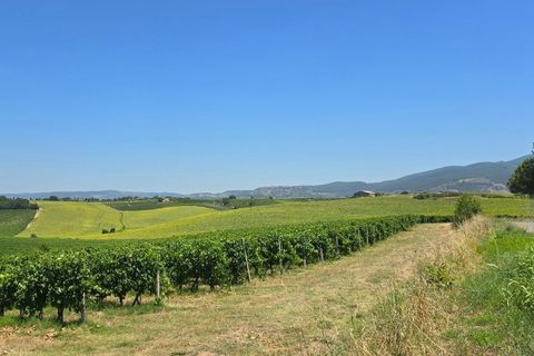 Villa a Baschi, Terni, Baschi - € 630.000 | Ref: BASCHI08 - foto 20