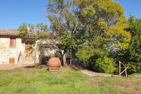 Villa a Guardea, Terni, Guardea - € 870.000 | Ref: GUARDEA20-1 - foto 38